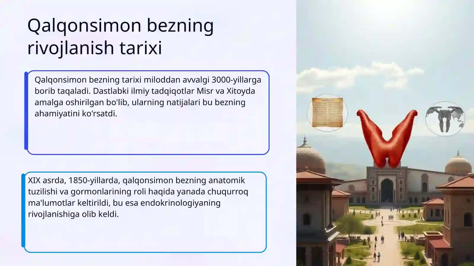 Qalqonsimon bez tuzilishi, taraqqiyoti va vazifasi 4