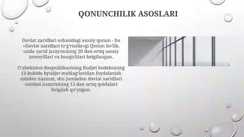 Xarid qilish tartib-taomillari ustidan davlat va jamoatchilik nazorati 4