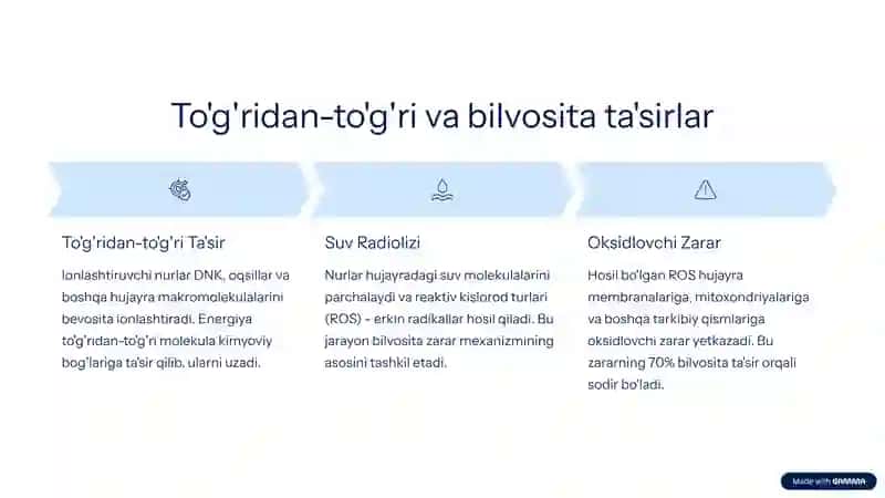 Ionlashtiruvchi nurlar biologik to'qimalarga ta'siri 4