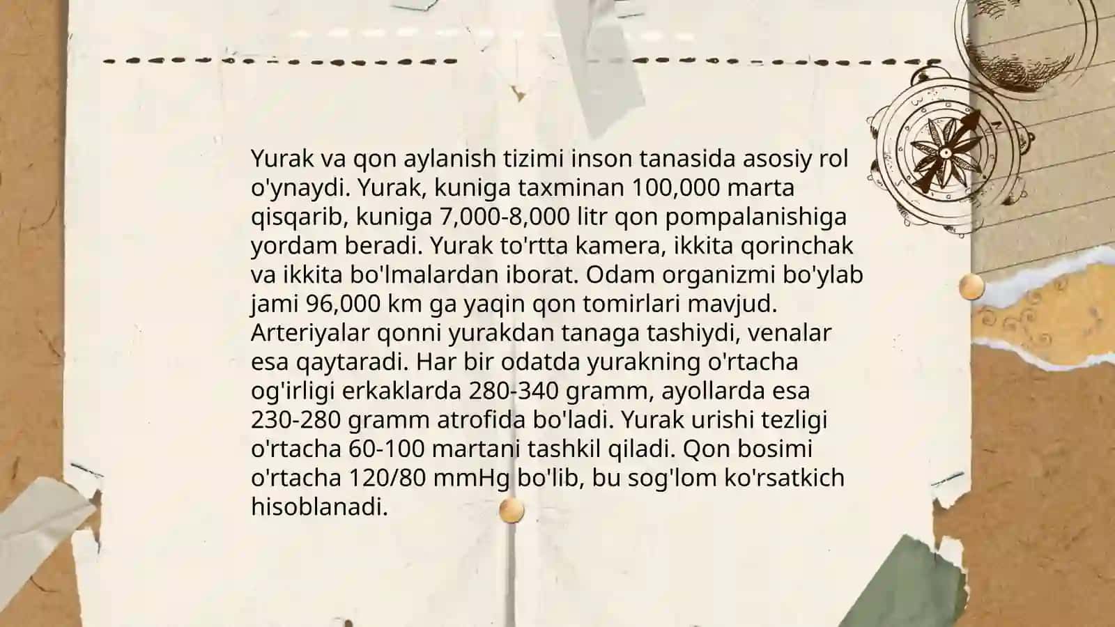 Inson anatomiyasi 4