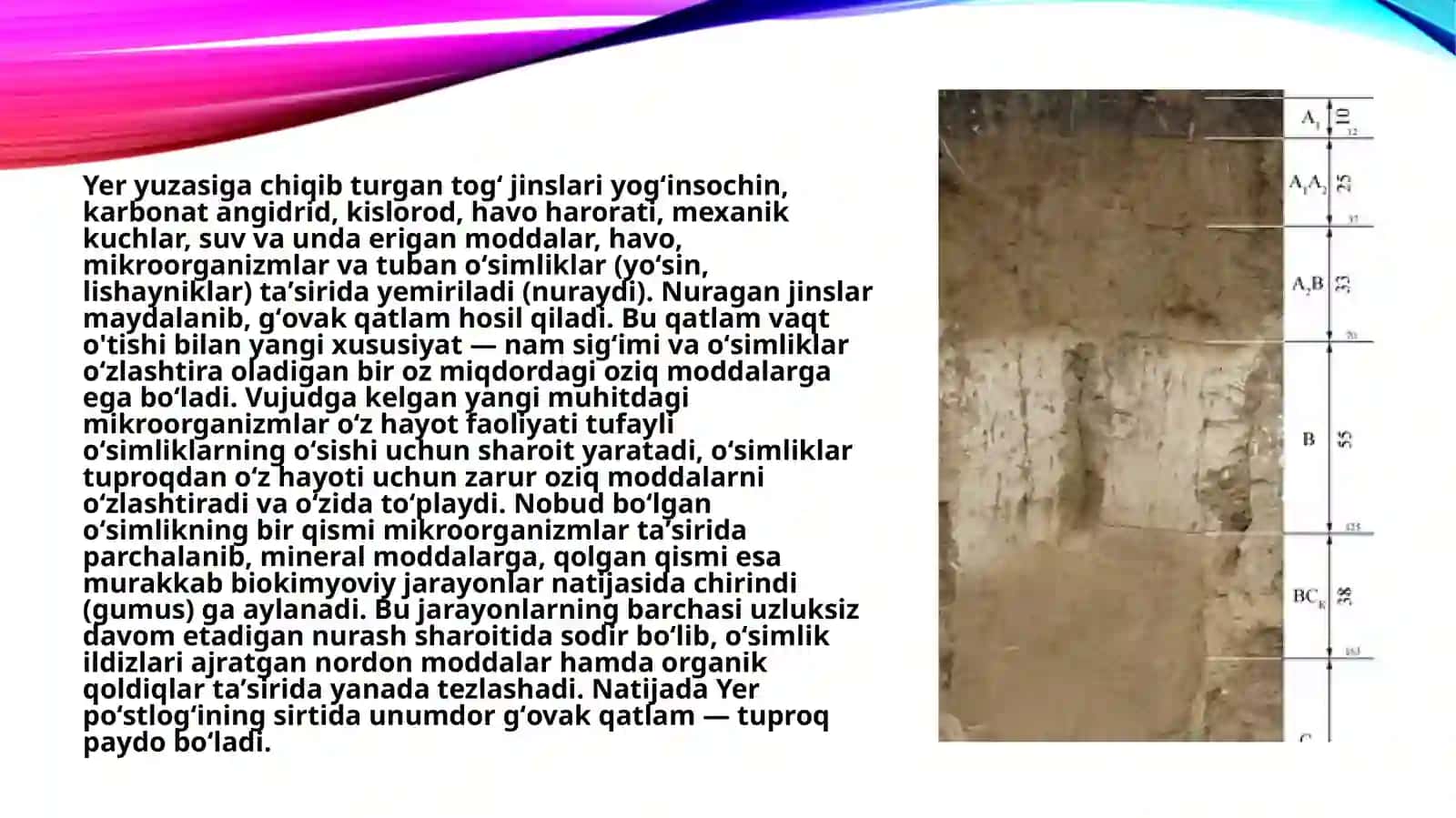 Tuproq va uning xususiyatlari. o'simlik turkumlari, hayvonlarning yashash tarzi va ko'payishi, ob-havo elementlari. 4
