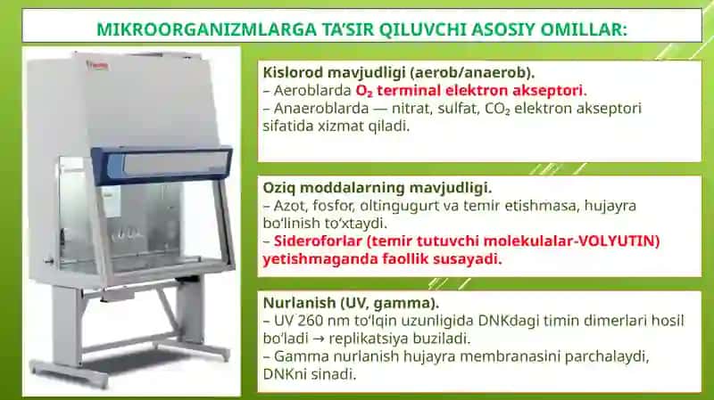 Mikroorganizmlarga tashqi muhit omillarining ta’siri 4