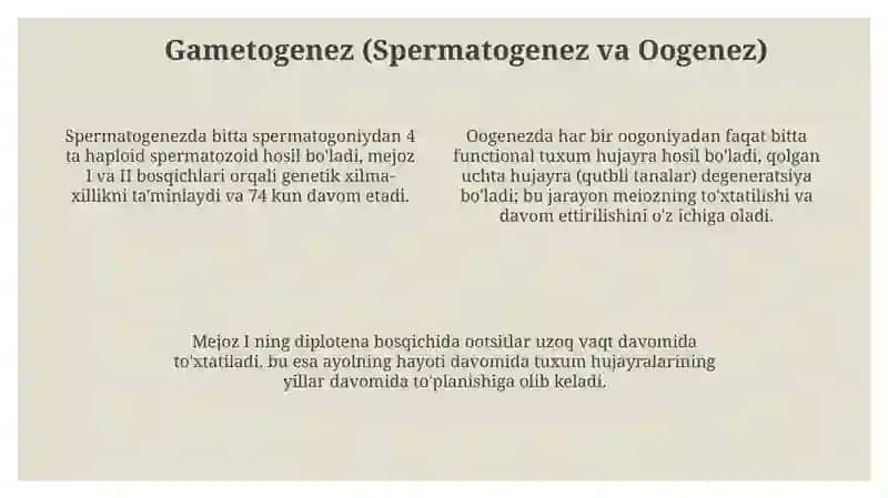 Reproduktiv tizim fiziologiyasi 4