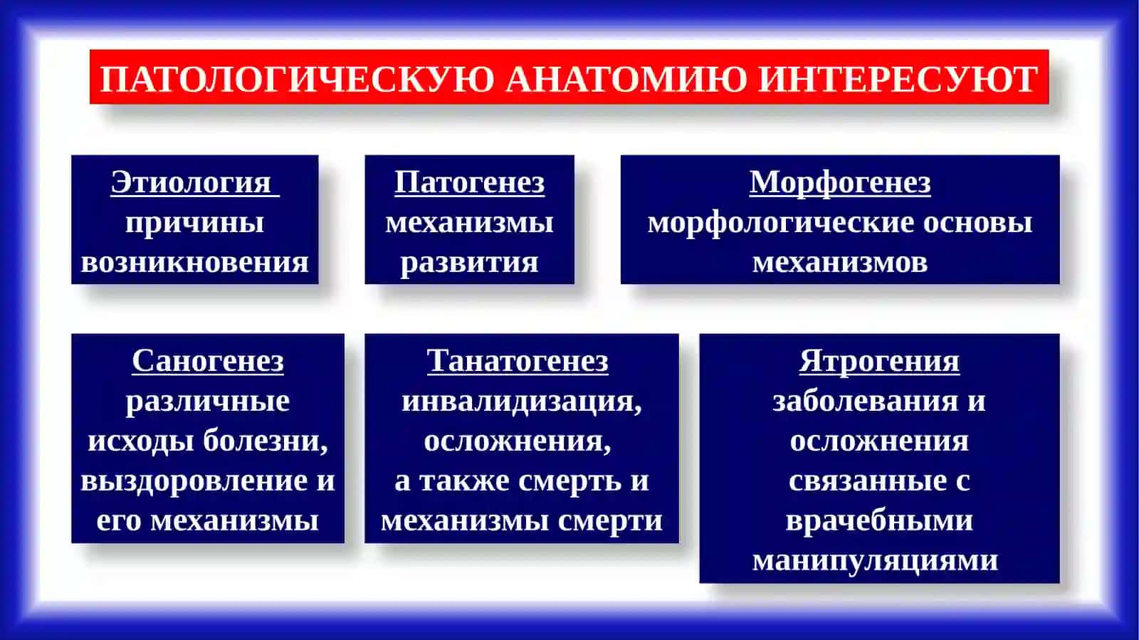 Микропрепарат 4