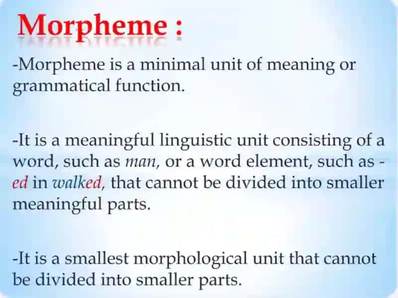 Morphology 4