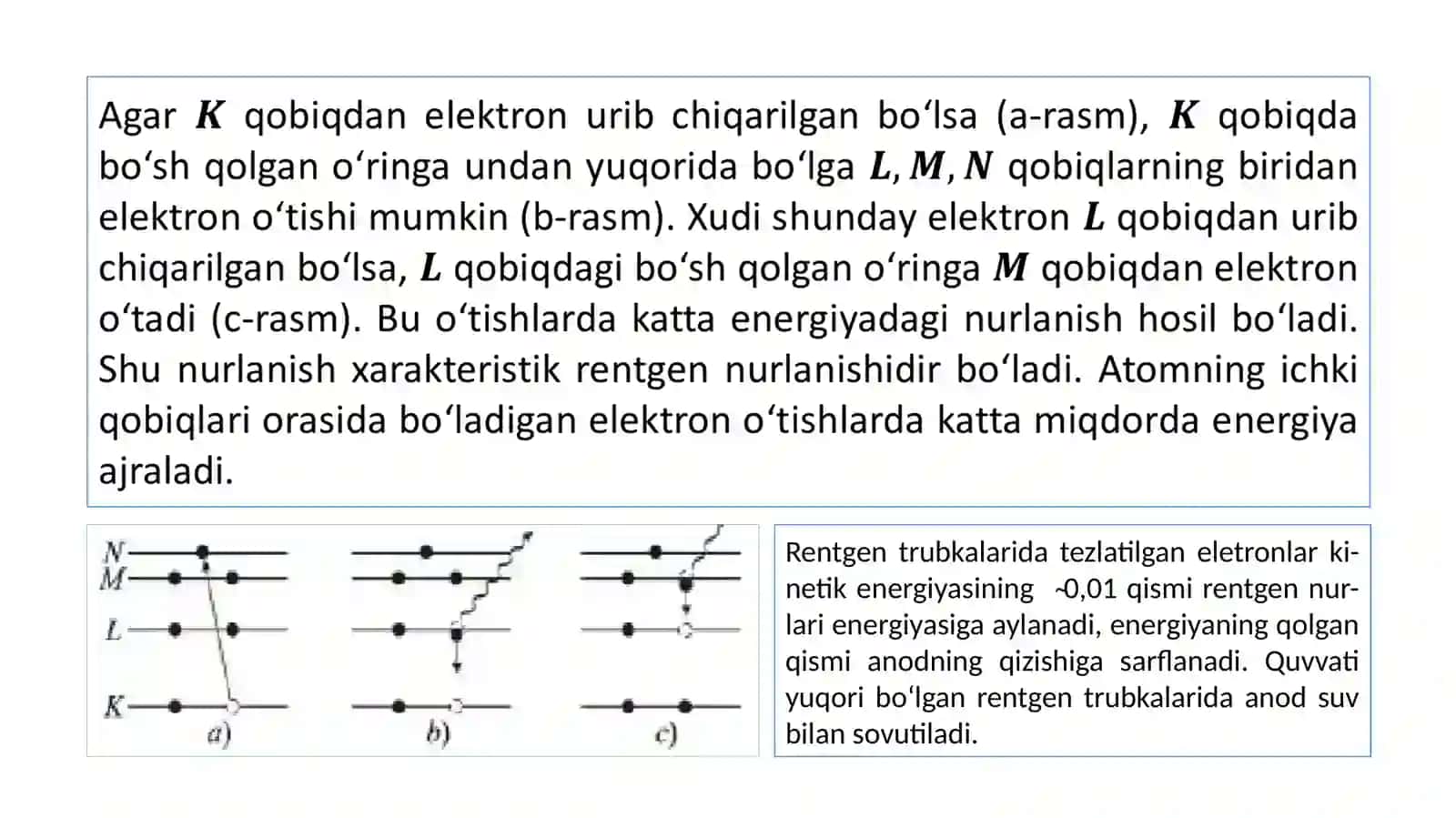 Rentgennurlari 4