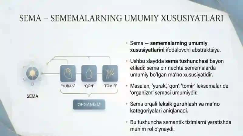 Leksemaning semantik tabiati leksema, semema va sema 4