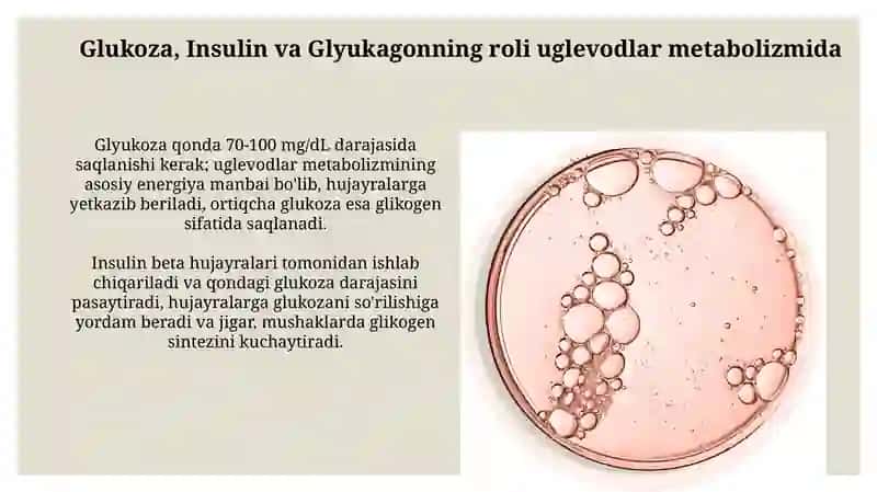 Uglevodlar almashinuvi boshqarilishining buzilishlari 4