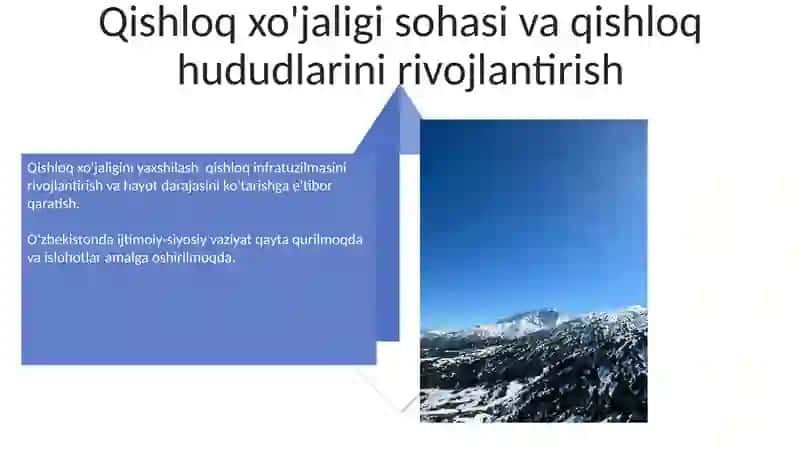 "Qayta qurilishda" O'zbekistonda ijtimoiy-siyosiy vaziyat 4