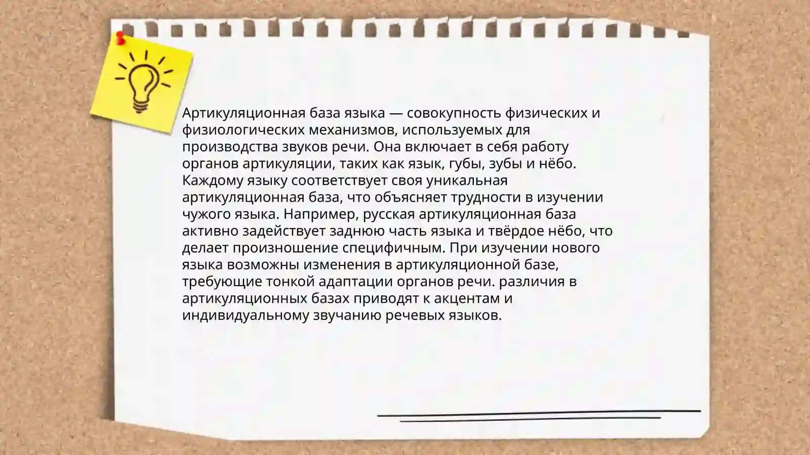 Артикуляция звука, ее фазы. Артикуляционная база. Речевой аппарат 4