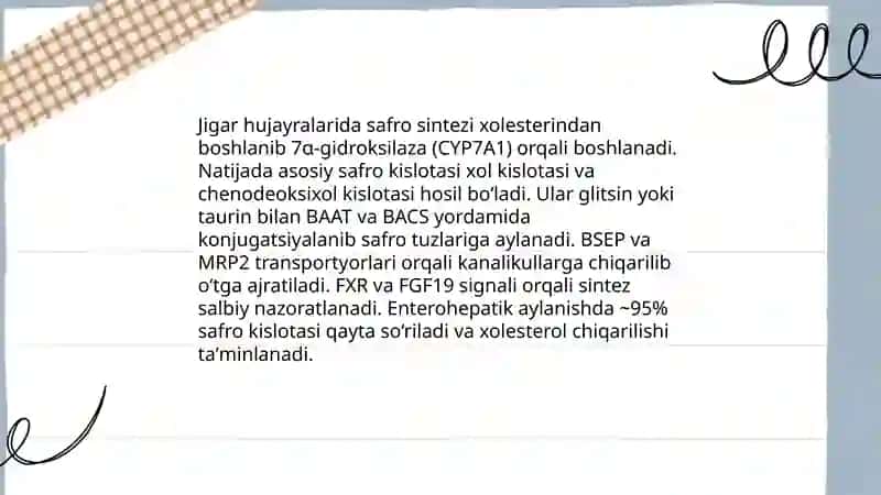 Jigarning hazm jarayonidagi umumiy vazifalari 4