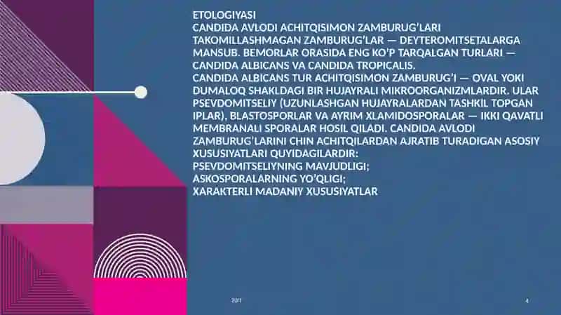Kandidoz 4