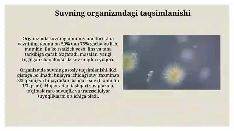 Organizmningsuv-disperssistemasi 4