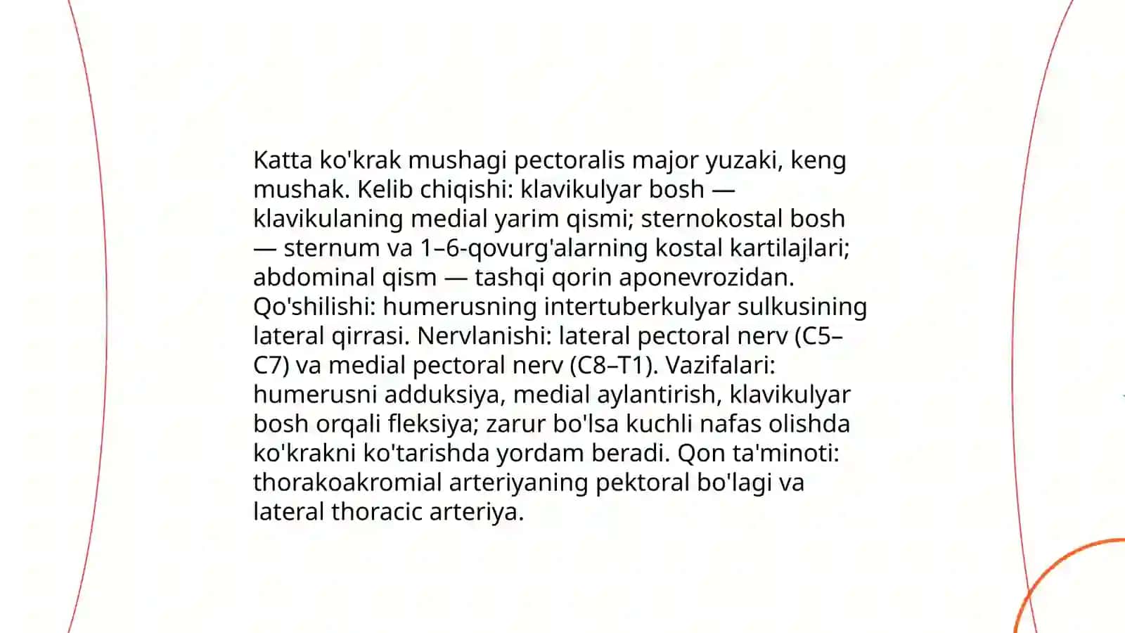 Ko'krak mushaklari anatomiyasi 4