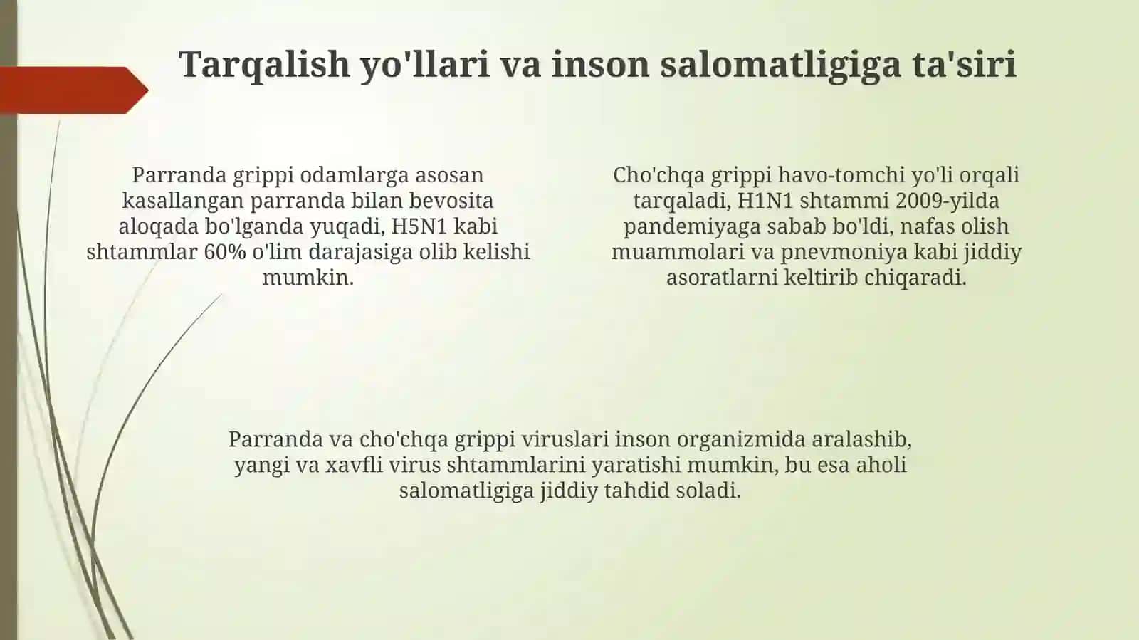 Parranda va cho'chqa gripi va uning hozirgi kundagi muammolari 4