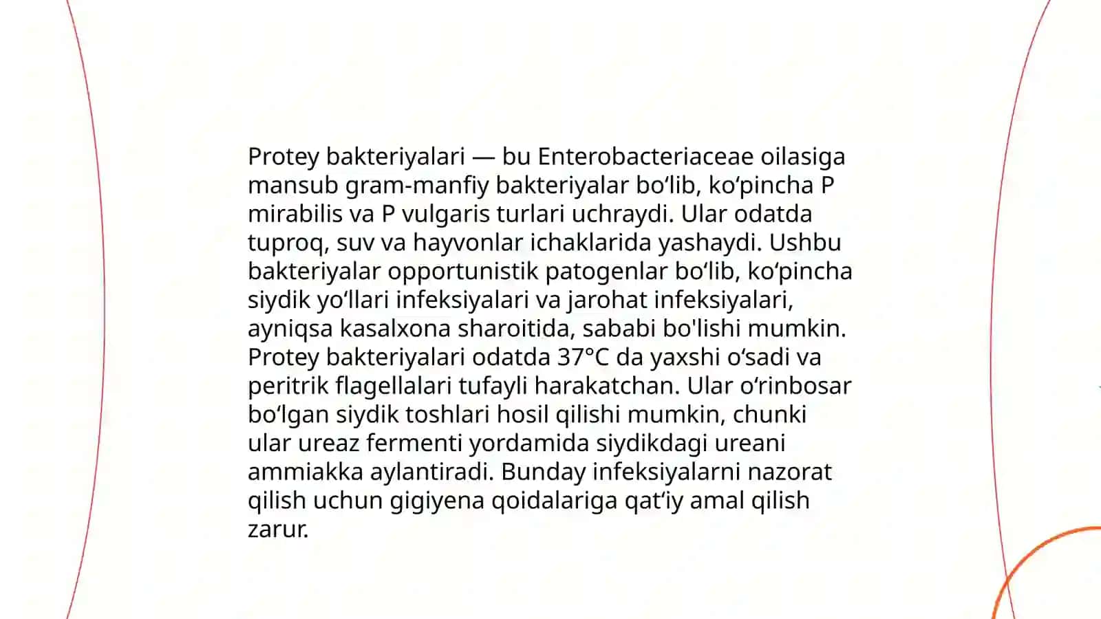 Ichak bakteriyasi:Protey 4