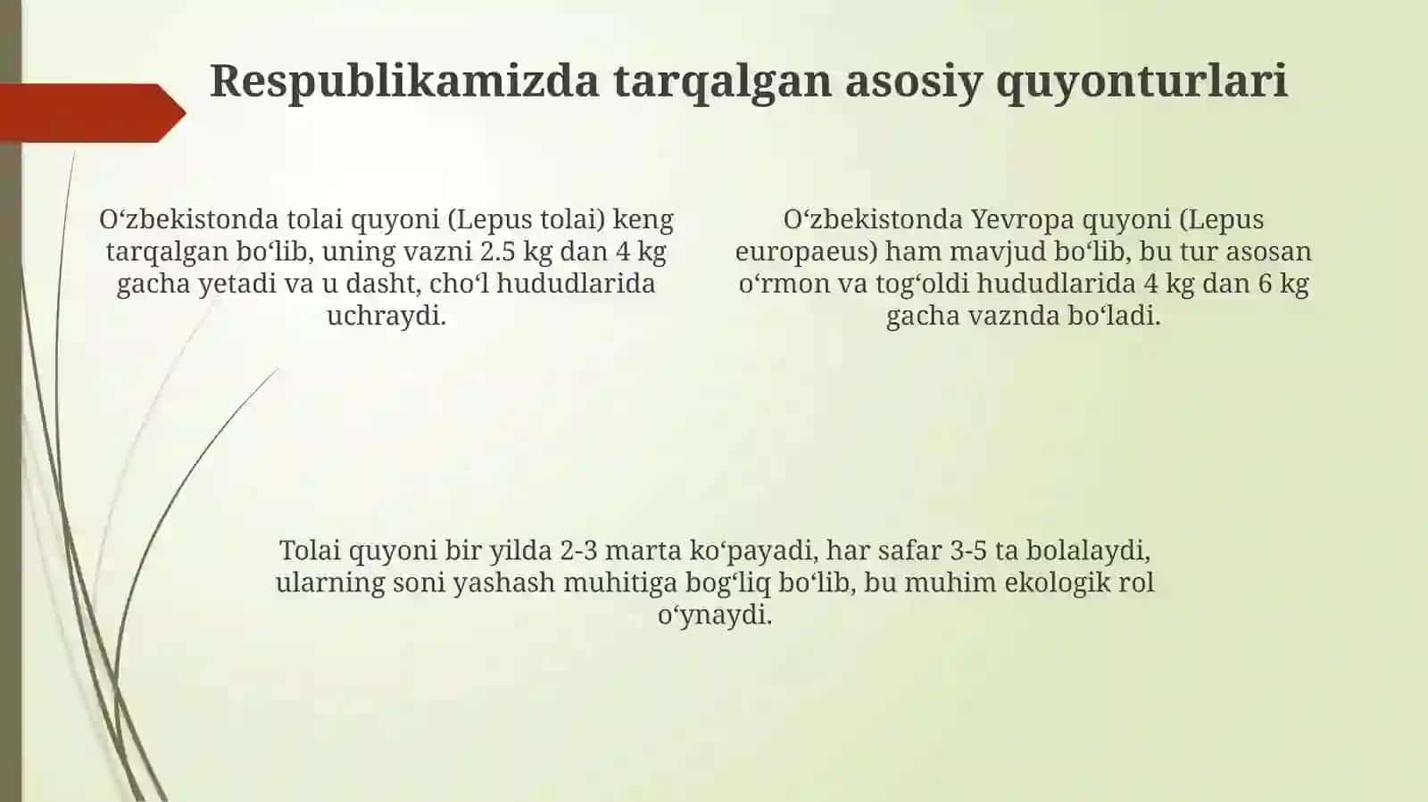 Toldoshlar oilasi, respublikamizda keng tarqalgan turkum va turlariga ta'rif 4