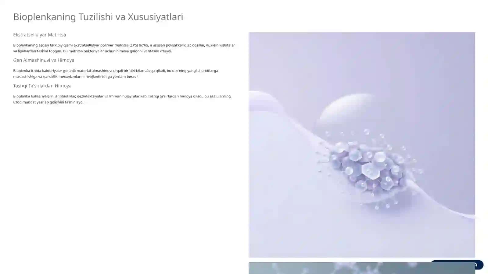 Bakterialar Bioplenkasi: Tabiatdagi Yashirin Himoya Qatlami 4