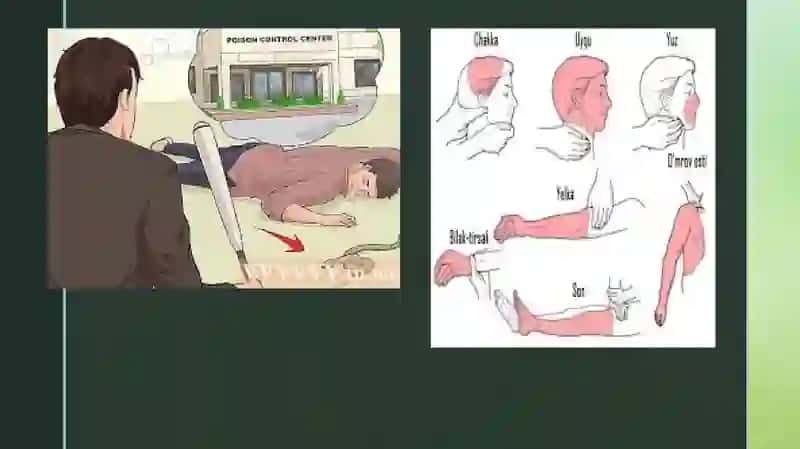 Birinchi tibbiy yordamni tashkil etish 4