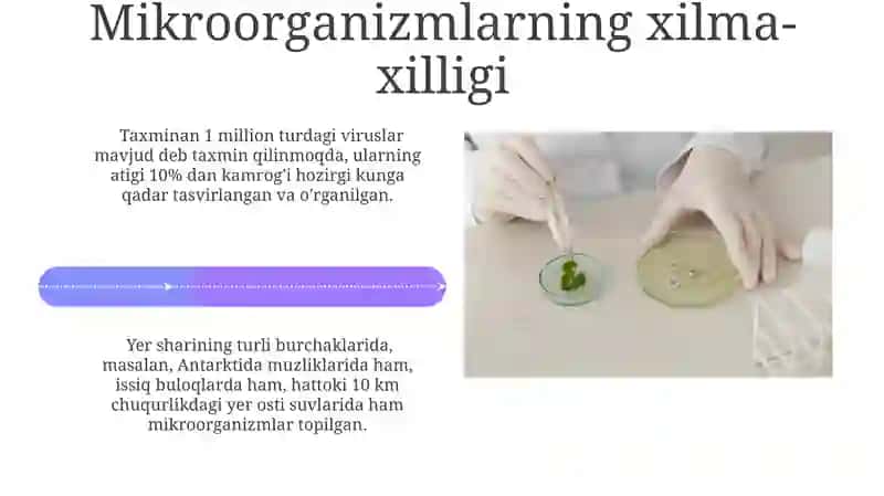 Mikrobiologiya fani va uning rivojlanishi 4