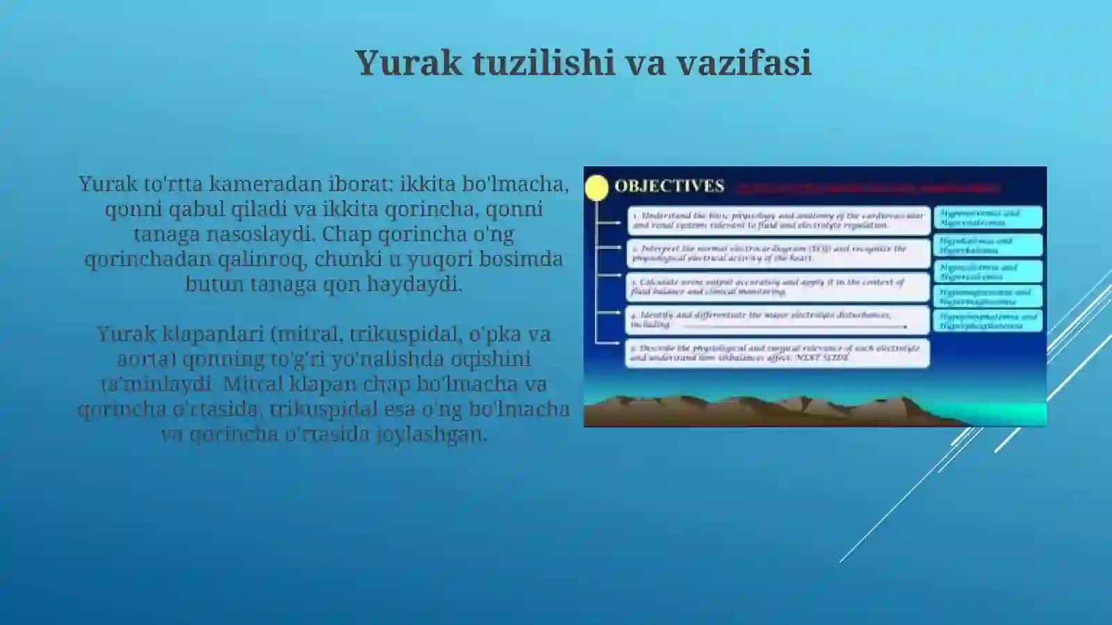 Qon Aylanish Tizimi 4
