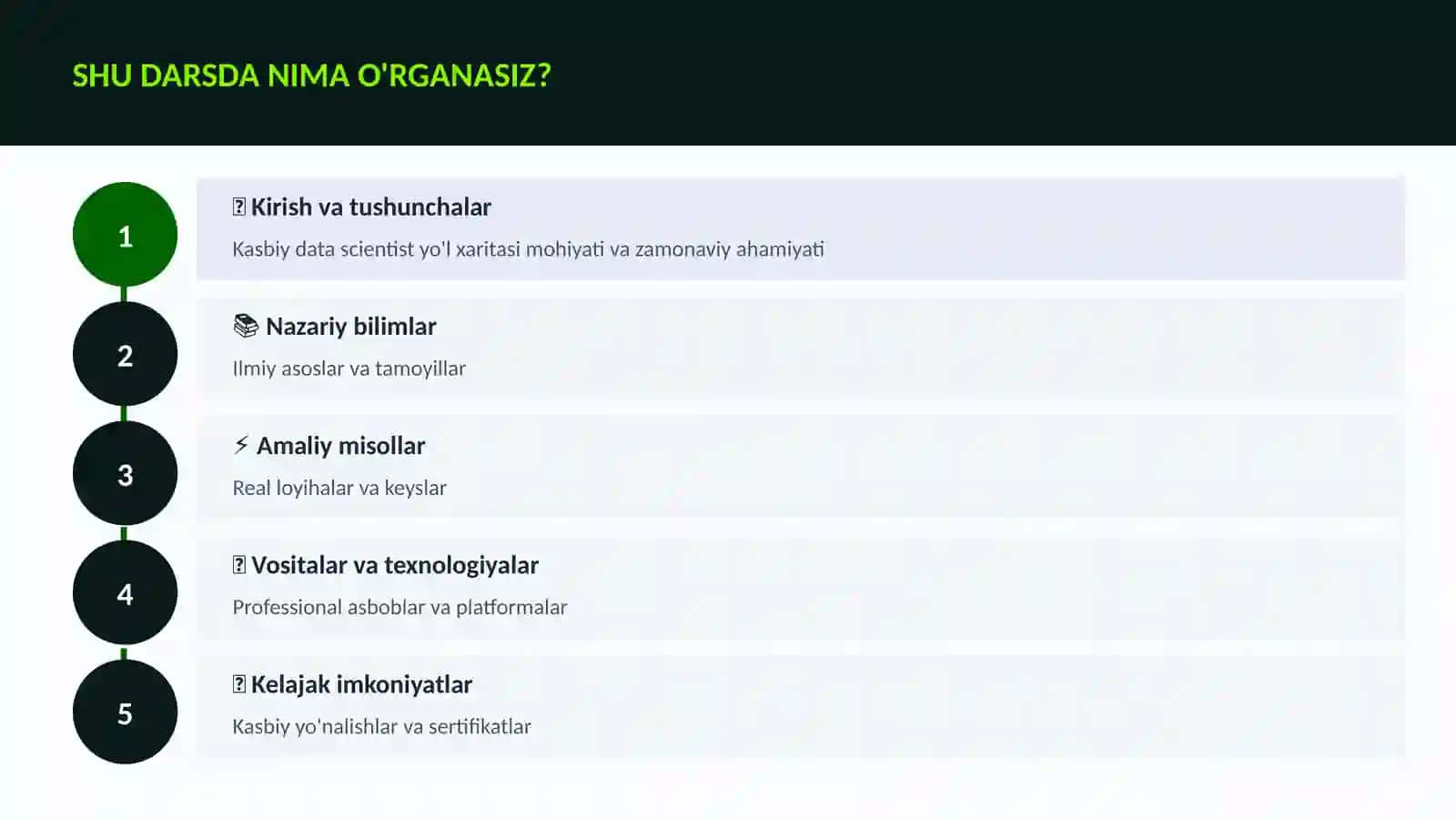 Kasbiy data scientist yo'l xaritasi 4