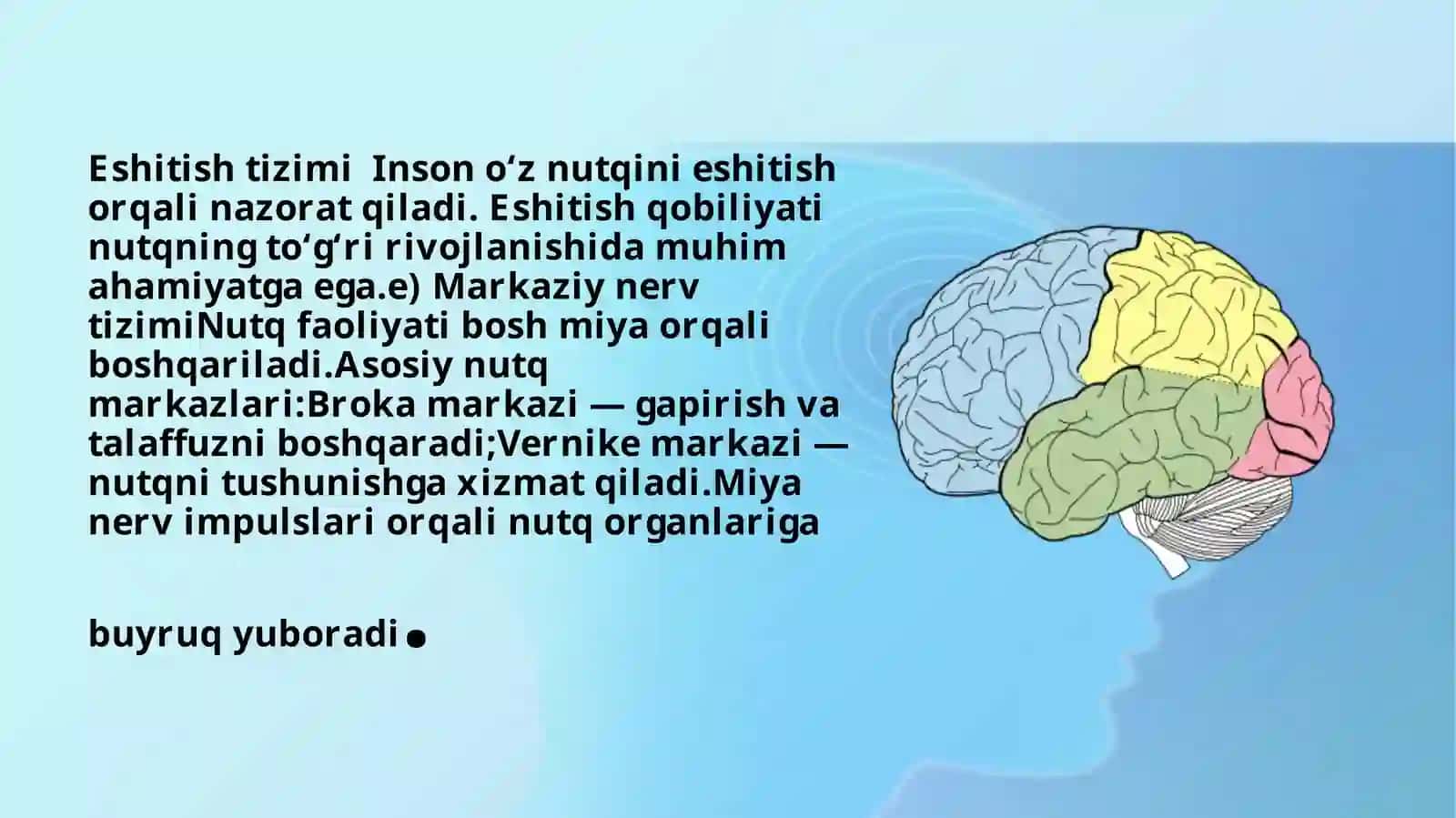 Nutqning fizologik va kognitiv asoslari 4