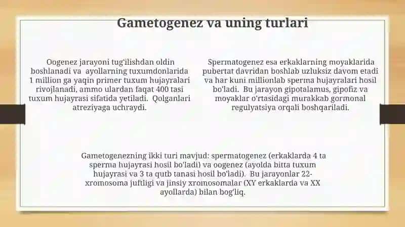 Embrional rivojlanishning umumiy qonuniyatlari 4