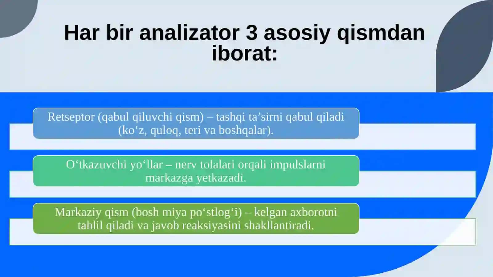 Yoshfizialogiyasivagigiyenasifanidan tayyorlagan taqdimoti 4