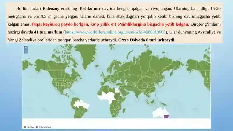 QIRQBO‘G‘IMTOIFA (EQUISETOPHYTA) O‘SIMLIKLAR BO‘LIMI 4