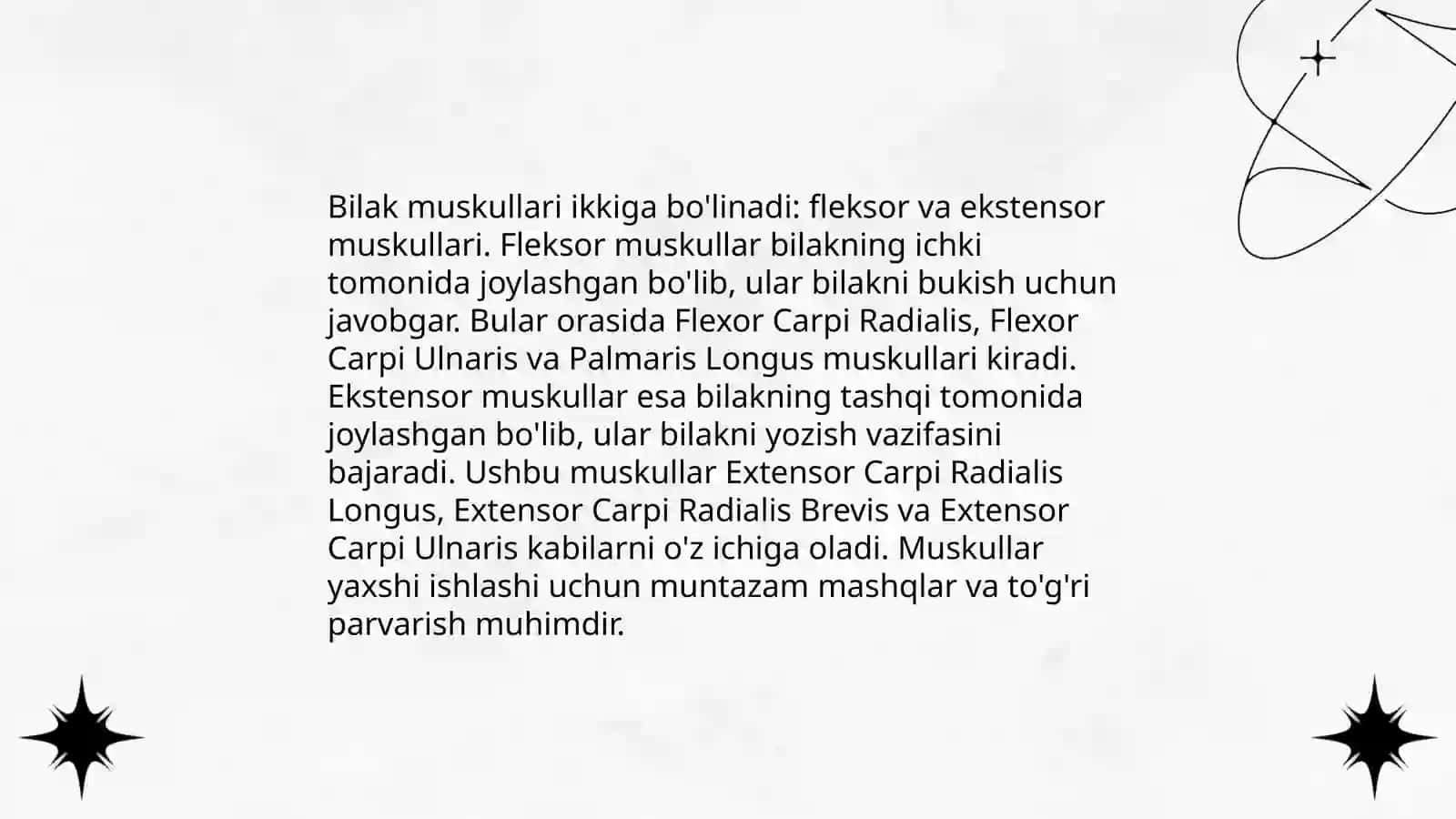 Bilak muskullari anatomiyasi 4