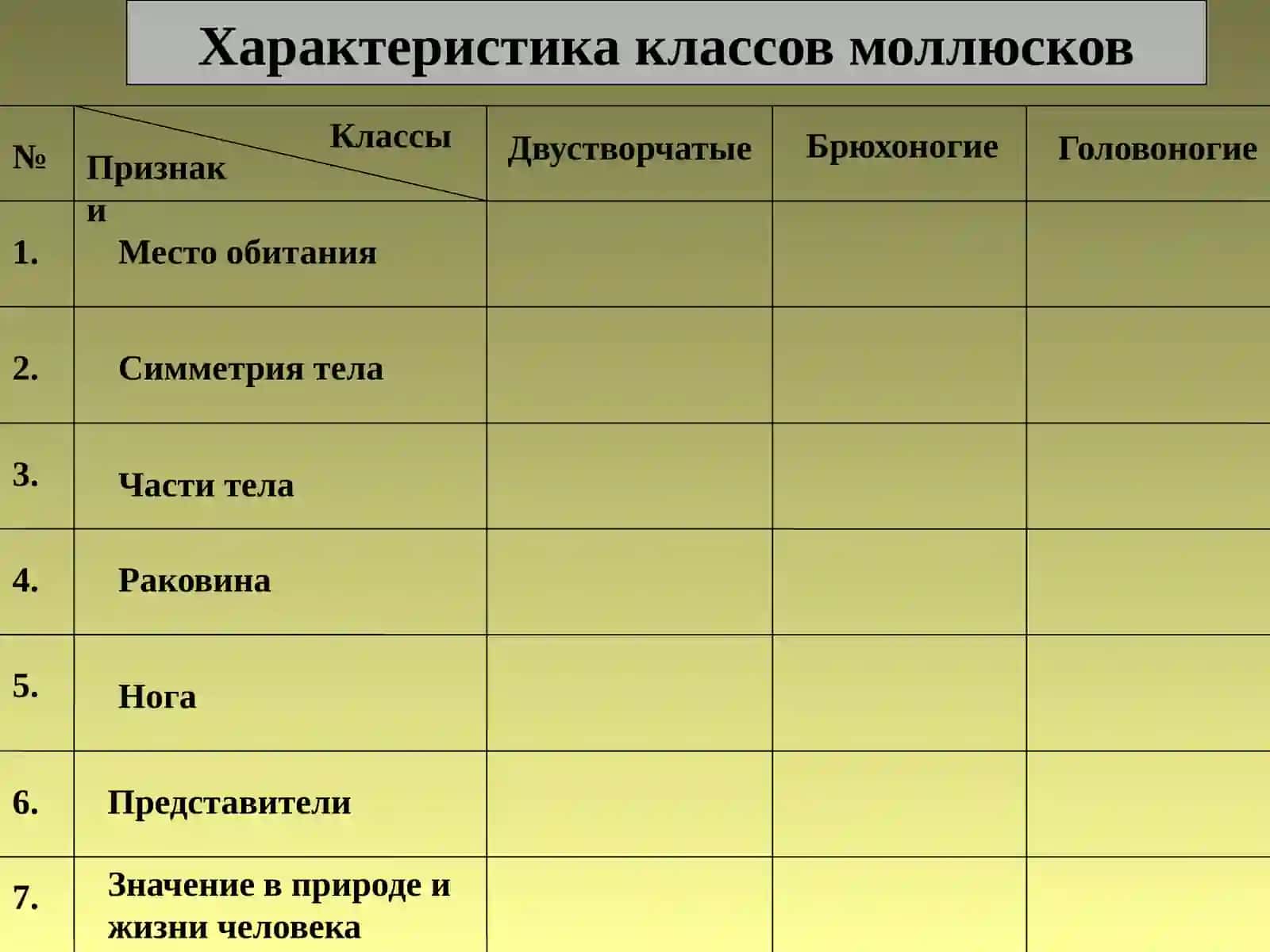 Моллюсклар 4