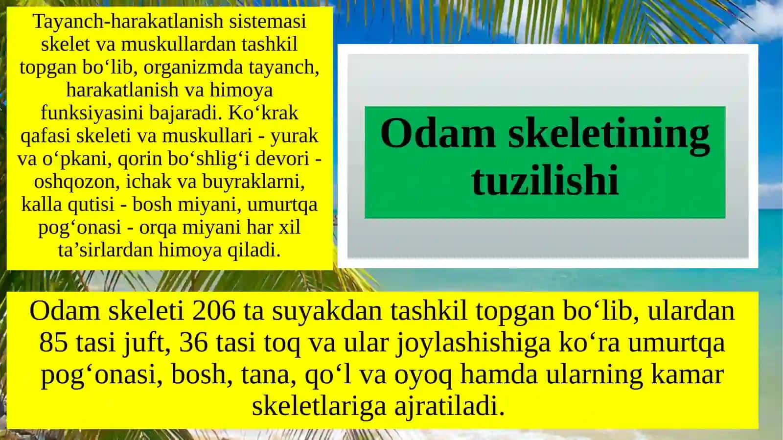 Tayanch-harakatlanish sistemasining tuzilishi, funksiyasi va ahmiyati 4