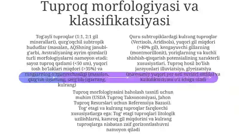 Quruq subtropiklarning tog'oldi va bo'z tuproqlarni aniqlash va o'rganish 4