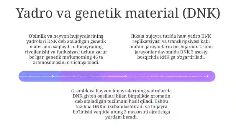 Oʻsimlik va hayvon hujayrasining oʻxshashlik belgilari 4
