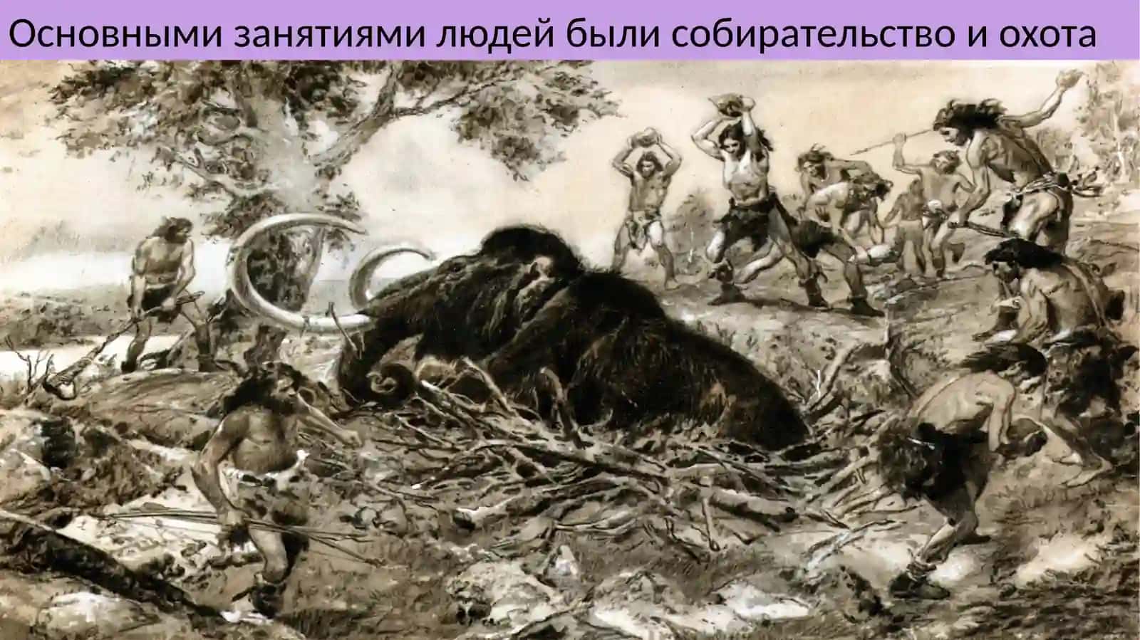 Ранний палеолит 4