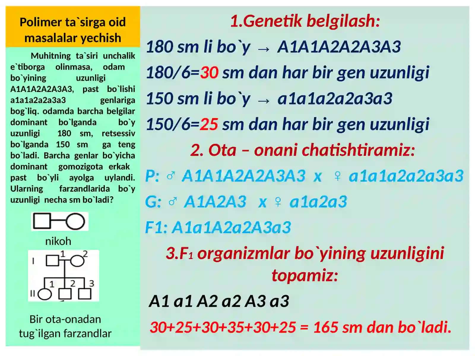 GENLARNING O`ZARO POLIMER TA`SIRLANISHIGA OID MASALALAR YESHISH 4