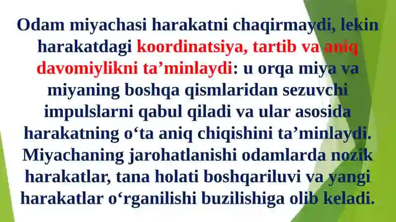 Miyacha o'zaklari va ularning klinik ahamiyati 4