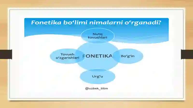 Fonetika 4