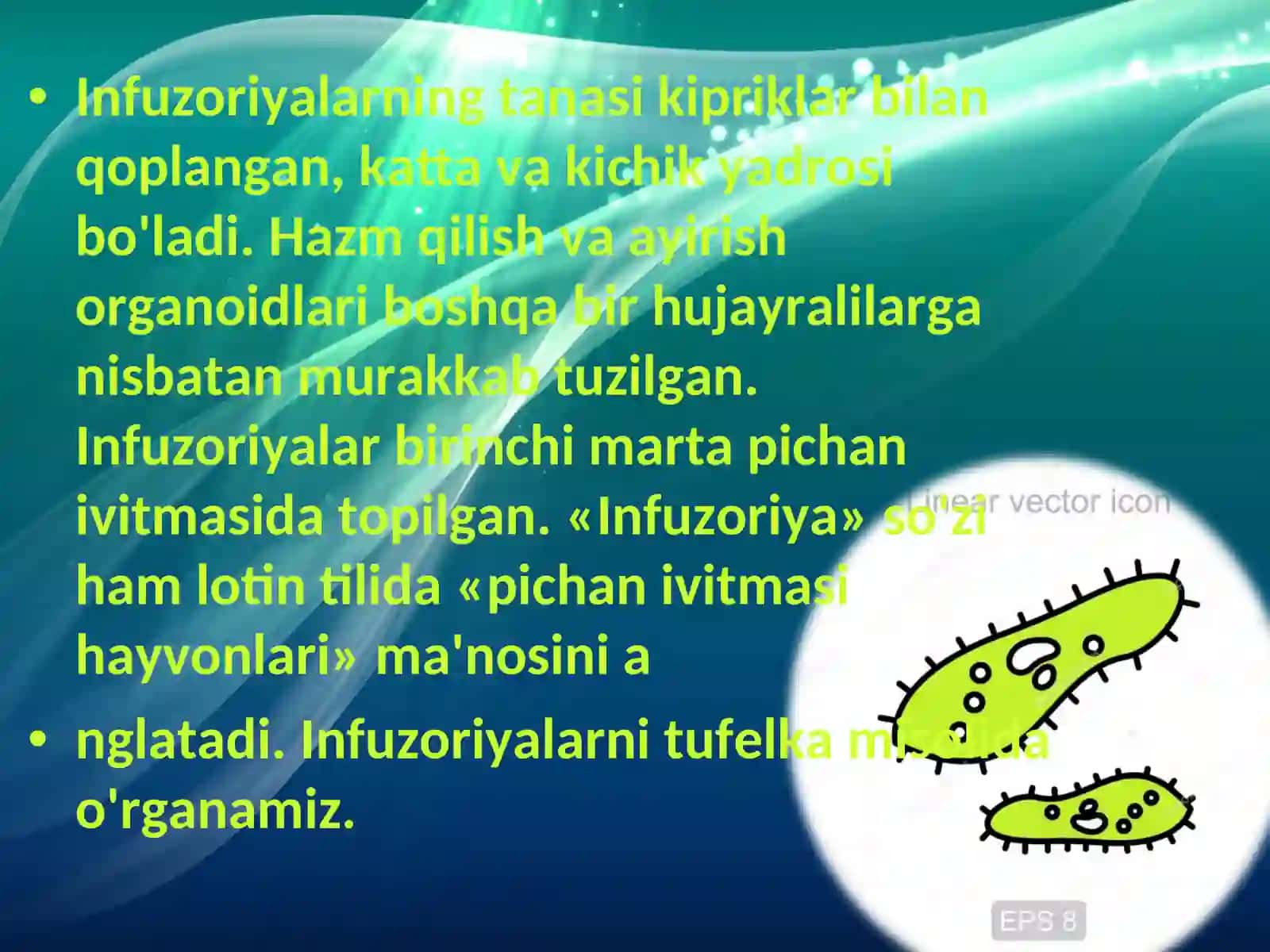 Infuzoriyalar va sporalilar sinflari 4