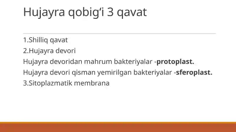 Mikroorganizmlar sturkturasi va murakkab boʻyash usullari 4