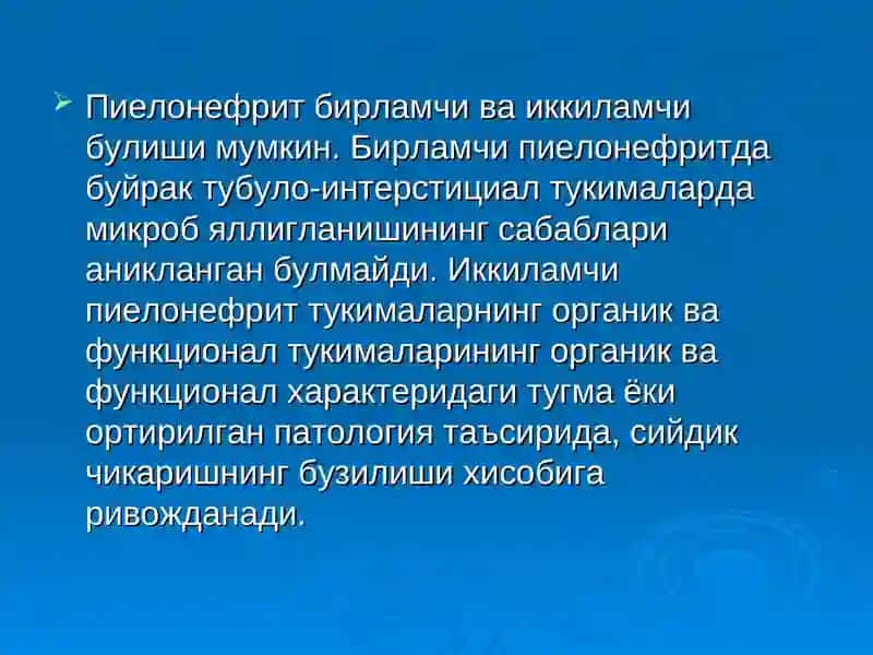 Пиелонефрит 4