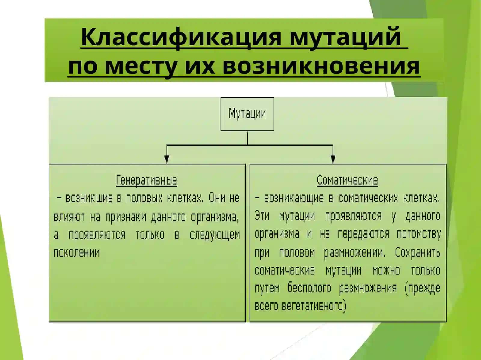 Наследственные заболевания и генетические синдромы 4