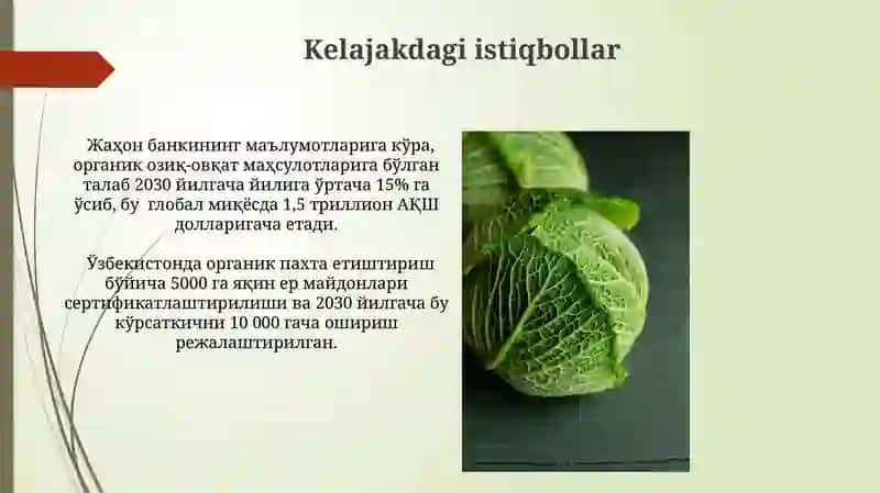 Organik O'gitlar 4