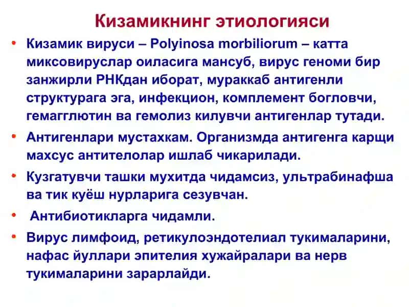 Қизамиқ 4