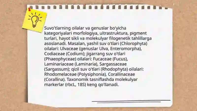 Suvo'tlarni zamonaviy sistematik bo'limlari va kategoriyalari 4