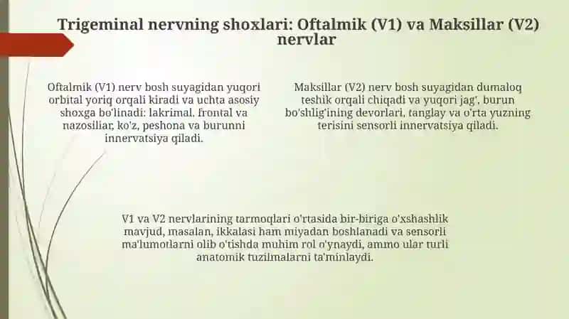 Uchshoxlinerv: kozvayuqorijag' 4