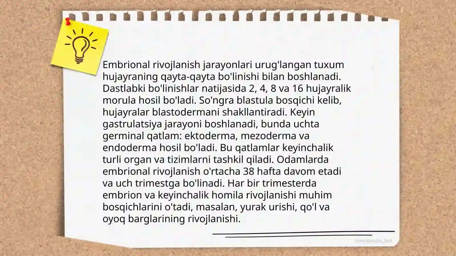 Inson ongining ontogenetik taraqqiyoti 4