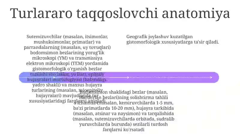 Hayvonlarda bodomsimon bez gistomorfologiyasi 4