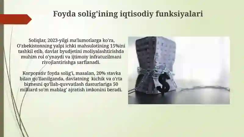 Soliqqa oid hisobotlar va nazorat 4